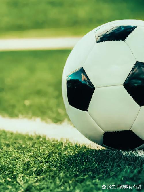 任选九场投注选择界面示例