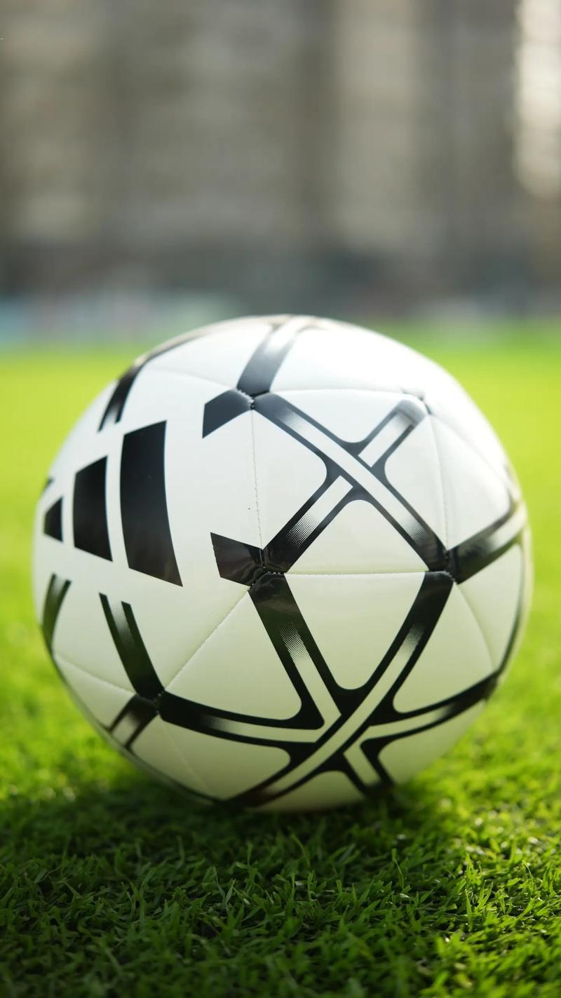 任选九场分析工具使用流程示意图